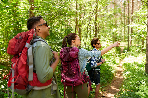 旅行,旅游,徒步旅行人的群朋友森林里带着背包散步群带背包的朋友森林里徒步旅行图片