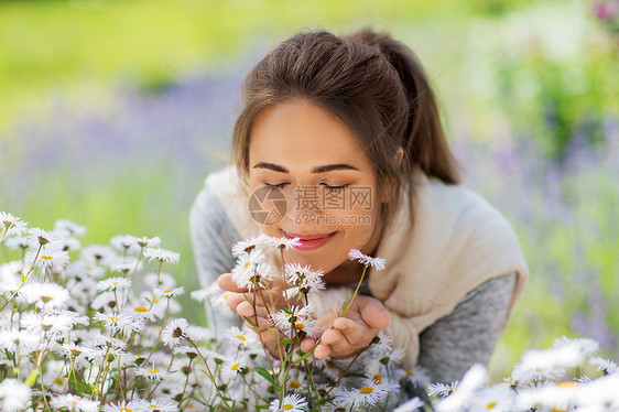 园艺人们的快乐的轻女人闻洋甘菊花夏季花园靠近闻洋甘菊花的女人图片
