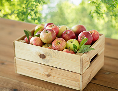 水果,食物收获的成熟的苹果木制盒子桌子上绿色的自然背景桌子上木箱里成熟的苹果图片