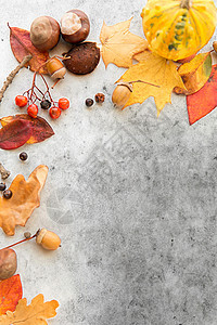 自然季节植物学灰色石材背景下同干燥落叶栗子橡子浆果的框架秋叶,栗子,橡子浆果框架图片