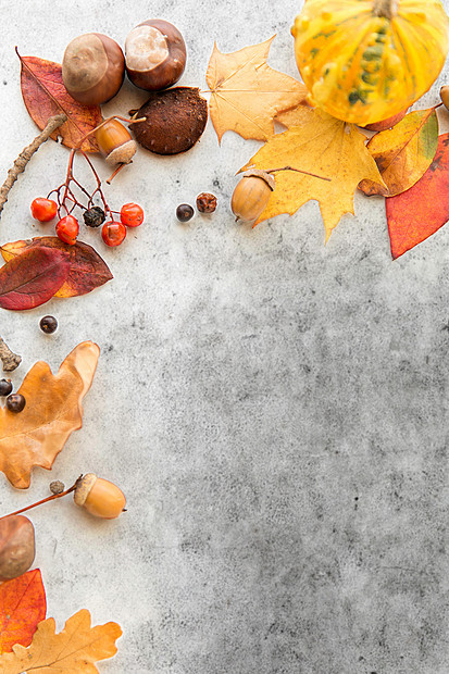 自然季节植物学灰色石材背景下同干燥落叶栗子橡子浆果的框架秋叶,栗子,橡子浆果框架图片