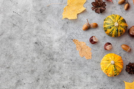 自然,季节植物学同的干落秋叶,栗子,橡子南瓜灰色的石头背景秋叶,橡子南瓜图片