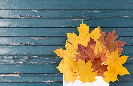 自然,季节邮件干燥的秋天枫叶与信封上的旧油漆蓝色破旧的板背景秋天的枫叶,旧木板上信封图片
