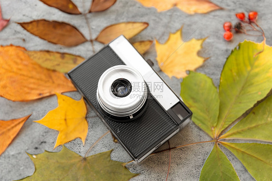 摄影季节电影相机秋天的树叶灰色的石头背景胶片相机灰色石头上的秋叶图片