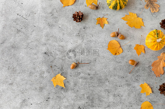 自然,季节植物学同的干落秋叶,橡子南瓜灰色的石头背景秋叶,栗子,橡子南瓜图片