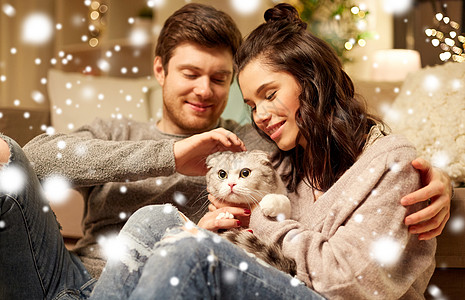 宠物,诞节人们的快乐的夫妇猫家里下雪快乐的家里猫图片