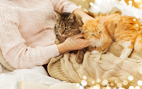宠物,人的女主与红色塔比猫床上床上用红色Tabby猫主人背景图片