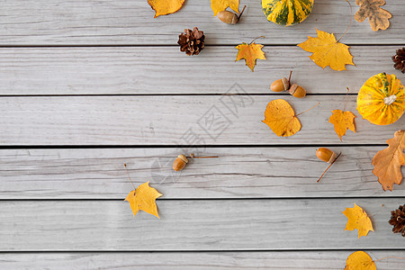 自然,季节植物学同的干落秋叶,橡子南瓜灰色木板背景秋叶,栗子,橡子南瓜图片