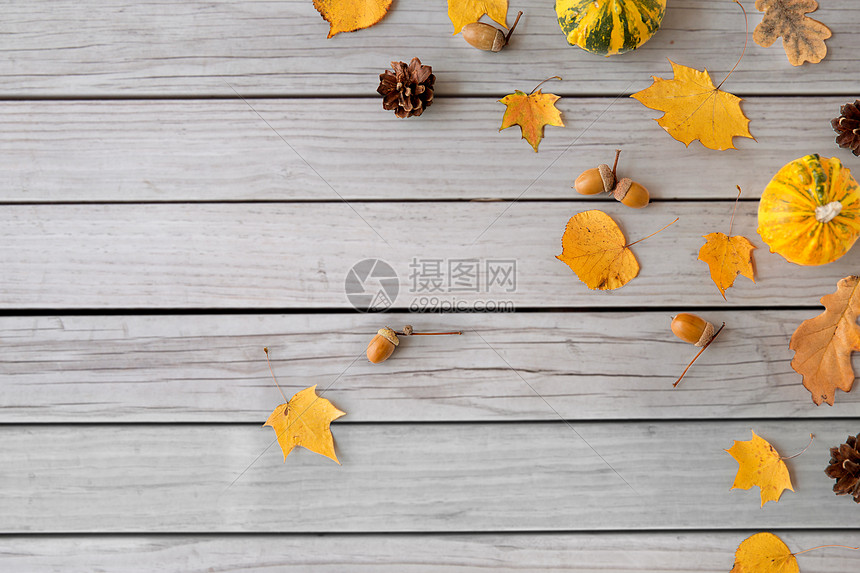 自然 季节植物学同的干落秋叶 橡子南瓜灰色木板背景秋叶 栗子 橡子南瓜高清图片下载 正版图片 摄图网 自然 季节植物学同的干落秋叶 橡子南瓜灰色木板背景秋叶 栗子 橡子南瓜高清图片下载 正版图片 摄图网