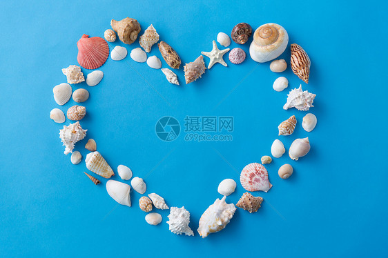 情人节,海豹夏天的同的海壳形状的蓝色背景蓝色背景上心形的海壳图片
