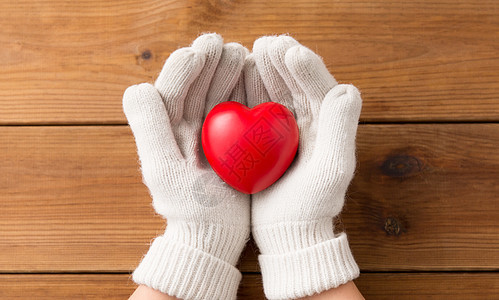 冬天,情人节诞节的双手戴着白色羊毛手套,木板背景上着红色的心双手戴着白色羊毛手套,捧着红色的心图片