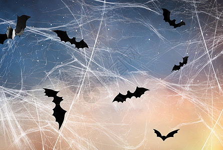 可怕的黑色蝙蝠飞过星空蜘蛛网背景图片