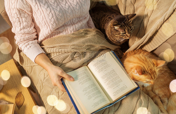 诞氛围下的美女猫躺床上看书图片