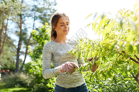 夏季花园里修剪植物的女人图片