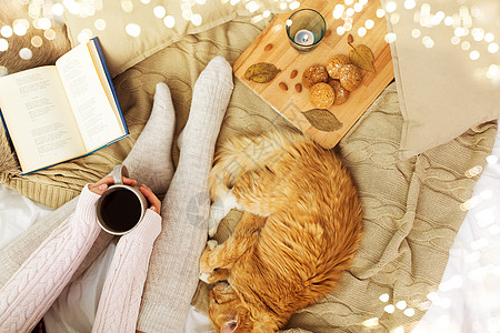 宠物,湿气人的女人带着咖啡,书,饼干红色的塔比猫睡家里的毯子秋天女人带着咖啡红猫睡床上图片