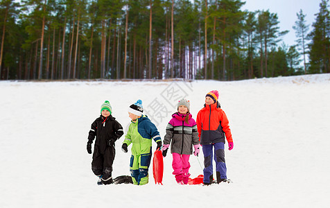 童,雪橇季节的群快乐的小孩子冬天的森林背景下玩雪橇快乐的小孩子冬天带着雪橇图片