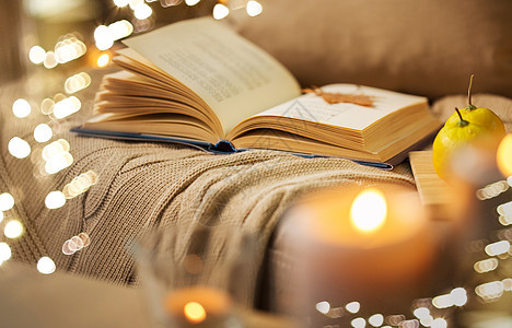 潮湿舒适的家文学书与秋叶毯子沙发上家里沙发上秋叶毯子的书图片