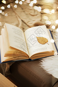 秋叶的背景图片-秋叶的背景素材-秋叶的底图-摄图网