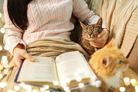 宠物,潮格人的红色塔比猫女主家里的床上看书红色塔比主人家看书图片