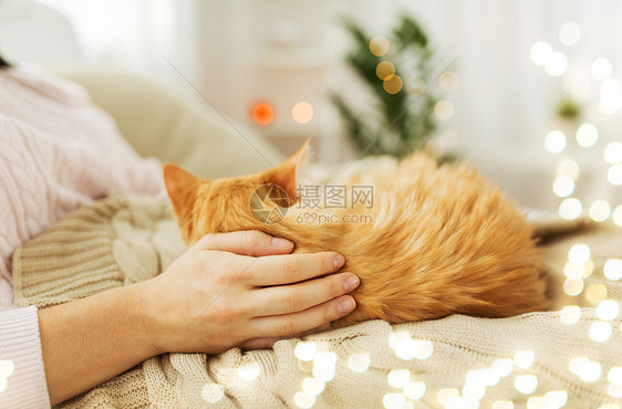 宠物,潮格人的女主与红色塔比猫床上家把主人红猫关家里的床上图片