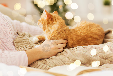宠物,潮格人的女主与红色塔比猫床上家把主人红猫关家里的床上图片