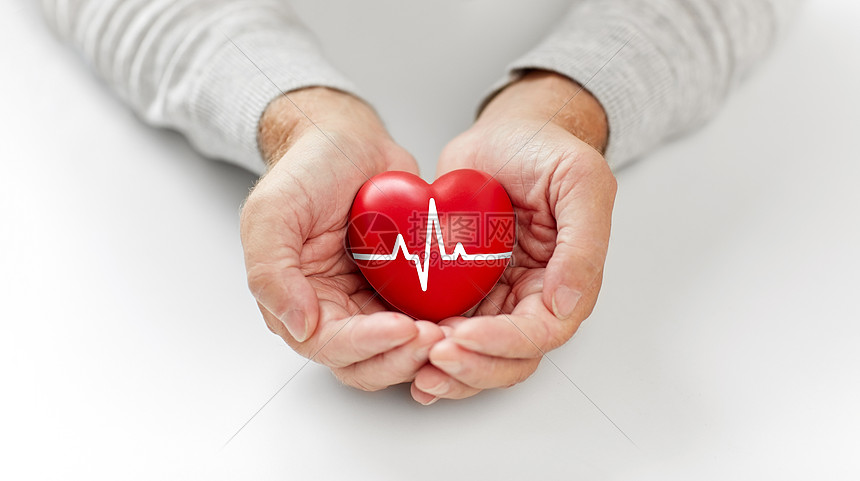 ‘~健康,慈善人的亲密的老人抱着红色的心与心电图线手高级男子抱着红色的心与心电图线  ~’ 的图片
