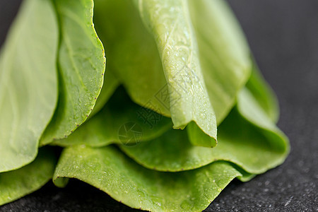 蔬菜,食物烹饪石板石背景上特写Bokchoy大白菜石板背景上Bokchoy卷心菜图片