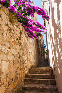 克罗地亚小古城里古老的狭窄的黄色石头街美丽的花丛落狭窄的老街上,墙上石阶克罗地亚小城市的旧狭窄街道图片