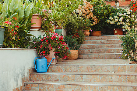 春天盆栽花草房子附近的台阶上令人惊讶的盛开的花朵覆盖着通往旧舒适房子的台阶春天盆栽花房子附近的台阶上图片