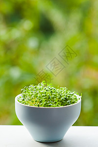 机微绿陶瓷碗上的自然背景机微绿色与文本图片