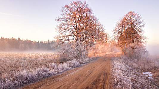 乡村薄雾黎明的早晨景观早春冰冻道路的鸟瞰图白俄罗斯美丽的日出图片