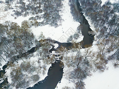 冬季雪河的鸟瞰图白俄罗斯明斯克附近的河岸草地上的冷冻树木图片