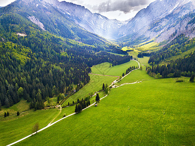 奥地利的春季旅行阿尔卑斯山脉的绿色田野草地高山乡村的道路图片