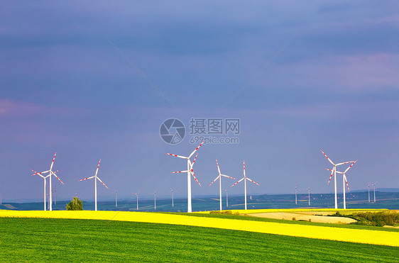 带风力发电机的春季黄色科尔扎场风力涡轮机公园发电绿色环境下奥地利,靠近珀斯多夫图片