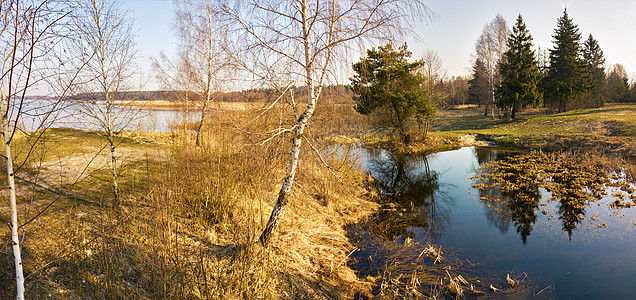 春天的空中景观早上森林里湖泊的全景干净的农村环境背景白俄罗斯图片