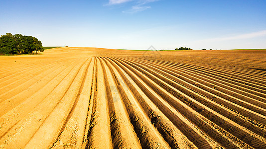 农业景观,可耕地机械化种植后的土豆田芦笋田间灌溉系统线农业白俄罗斯明斯克地区背景图片