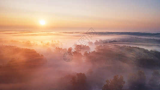 夏季自然景观航空全景雾蒙蒙的早晨,河流森林阳光下雾蒙蒙的日出时令人惊叹的自然景象白俄罗斯,欧洲图片