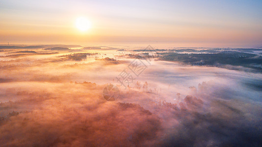 夏季日出晨雾林地空中全景夏季自然景观自然阳光场景与光白俄罗斯,欧洲图片
