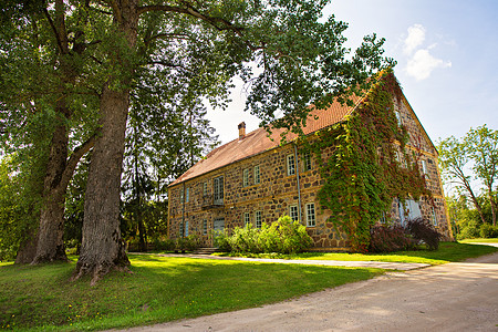 达古冰山古老的家堵古老的砖墙,覆盖着葡萄藤三叶草,位于图拉达,欧洲,拉脱维亚背景