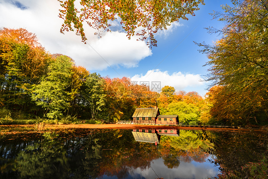 秋天森林湖旁的小红房子,着美丽的秋色图片