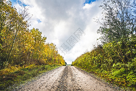 土路秋天,树秋天的颜色路边图片