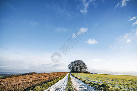 乡村道路上的雪,蓝天下两边都五颜六色的田野图片