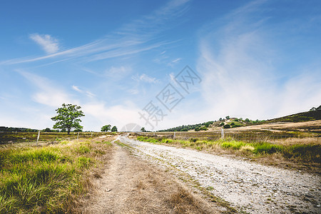 农村广场素材泥土路与绿草路边的蓝天下的夏天背景