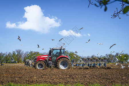 机械鸟海鸥飞过农村的田野,用红色的拖拉机犁地背景