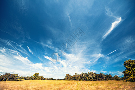 乡村景观与戏剧的蓝天干燥的田野夏末背景图片