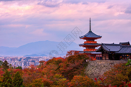 秋季,日本京都,三京都宝塔清宫德拉寺日出京都秋季,三京都宝塔清宫德拉寺上日出图片