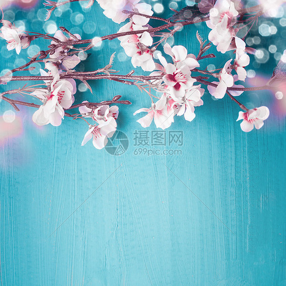 美丽的春天樱花枝绿松石蓝色背景与为您的春季假期自然图片