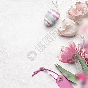复活节背景复活节彩蛋,郁金香花粉红色标签白色背景,顶部视图,平躺为您的图片
