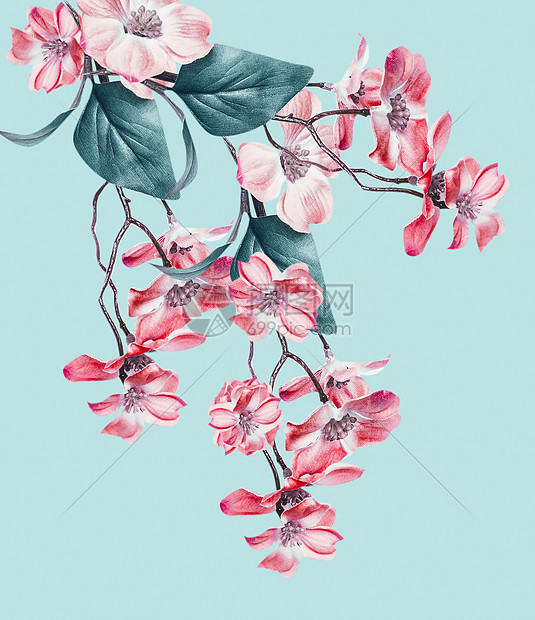 美丽的花与珊瑚花成 花悬挂浅绿色的树枝上花卉布局高清图片下载 正版图片 摄图网 美丽的花与珊瑚花成 花悬挂浅绿色的树枝上花卉布局高清图片下载 正版图片 摄图网
