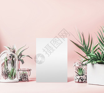 空白的白纸模拟绿色的房子植物盆,璃水族馆罐子桌子上的粉底各种肉质植物仙人掌植物璃碗中现代室内植物图片